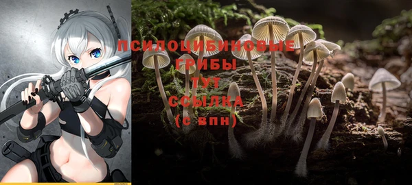круглые Переславль-Залесский