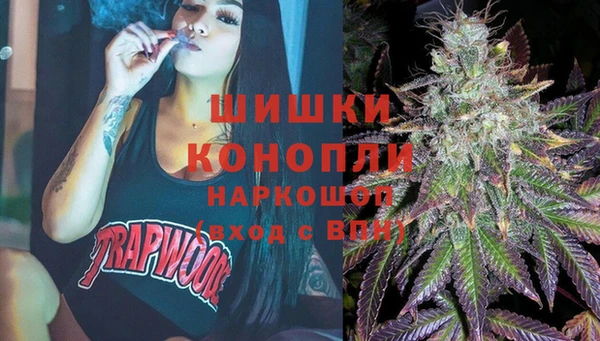 прущие крисы Пересвет