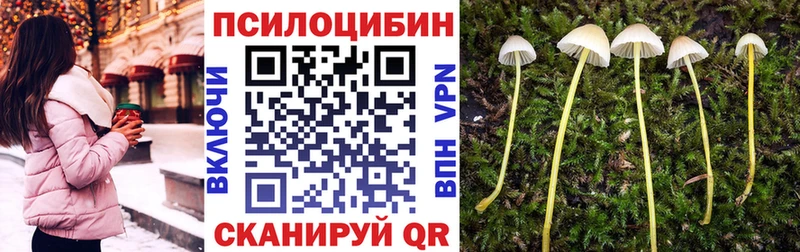 Галлюциногенные грибы мухоморы Болотное