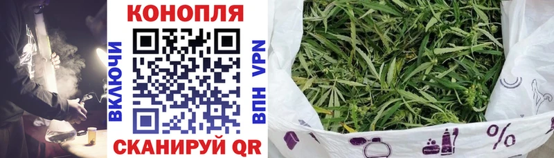 Бошки марихуана Bruce Banner Болотное